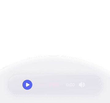 Audio no voice input