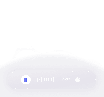 Audio voice input