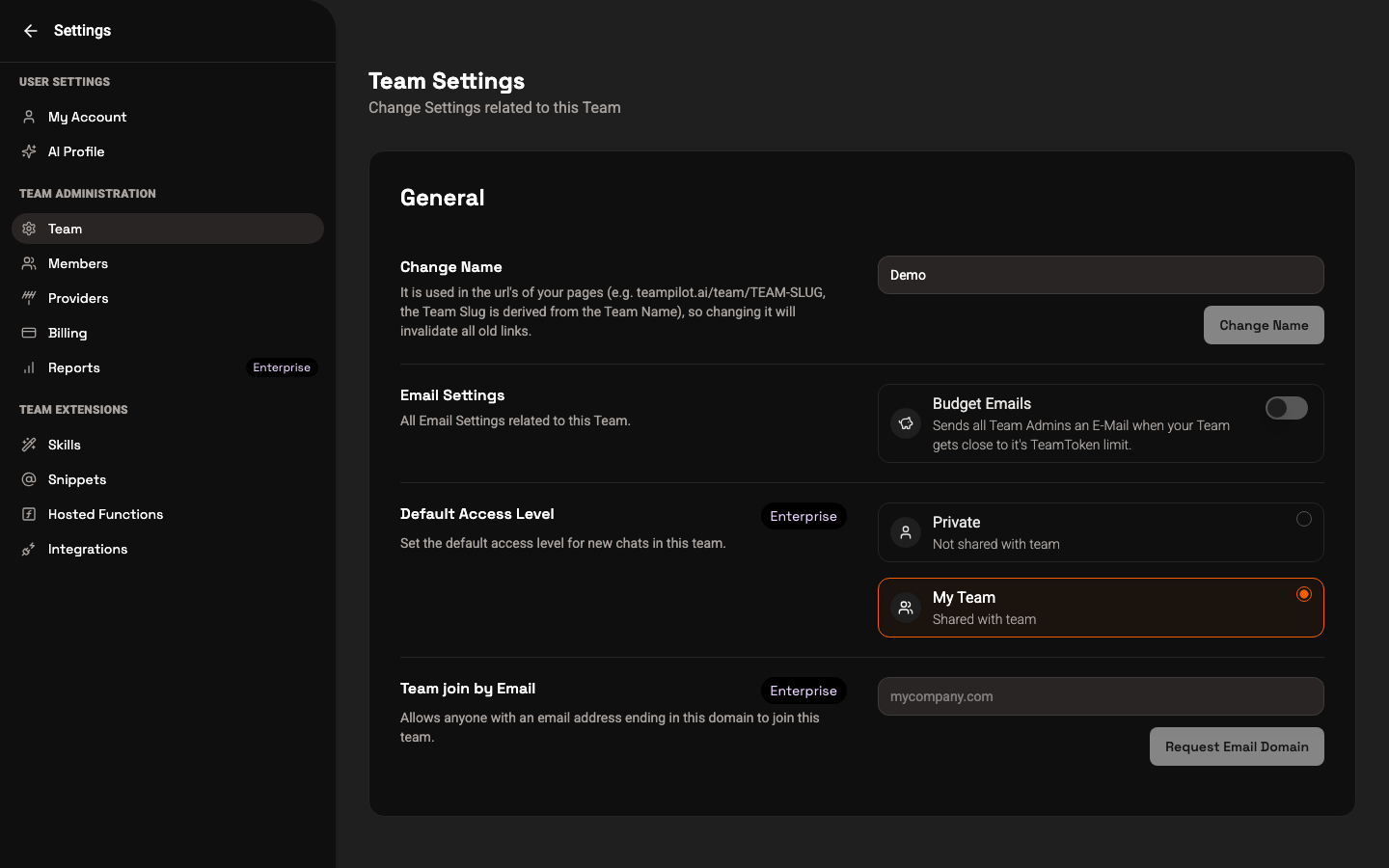 Team settings showing the team name, email settings, and default access level.